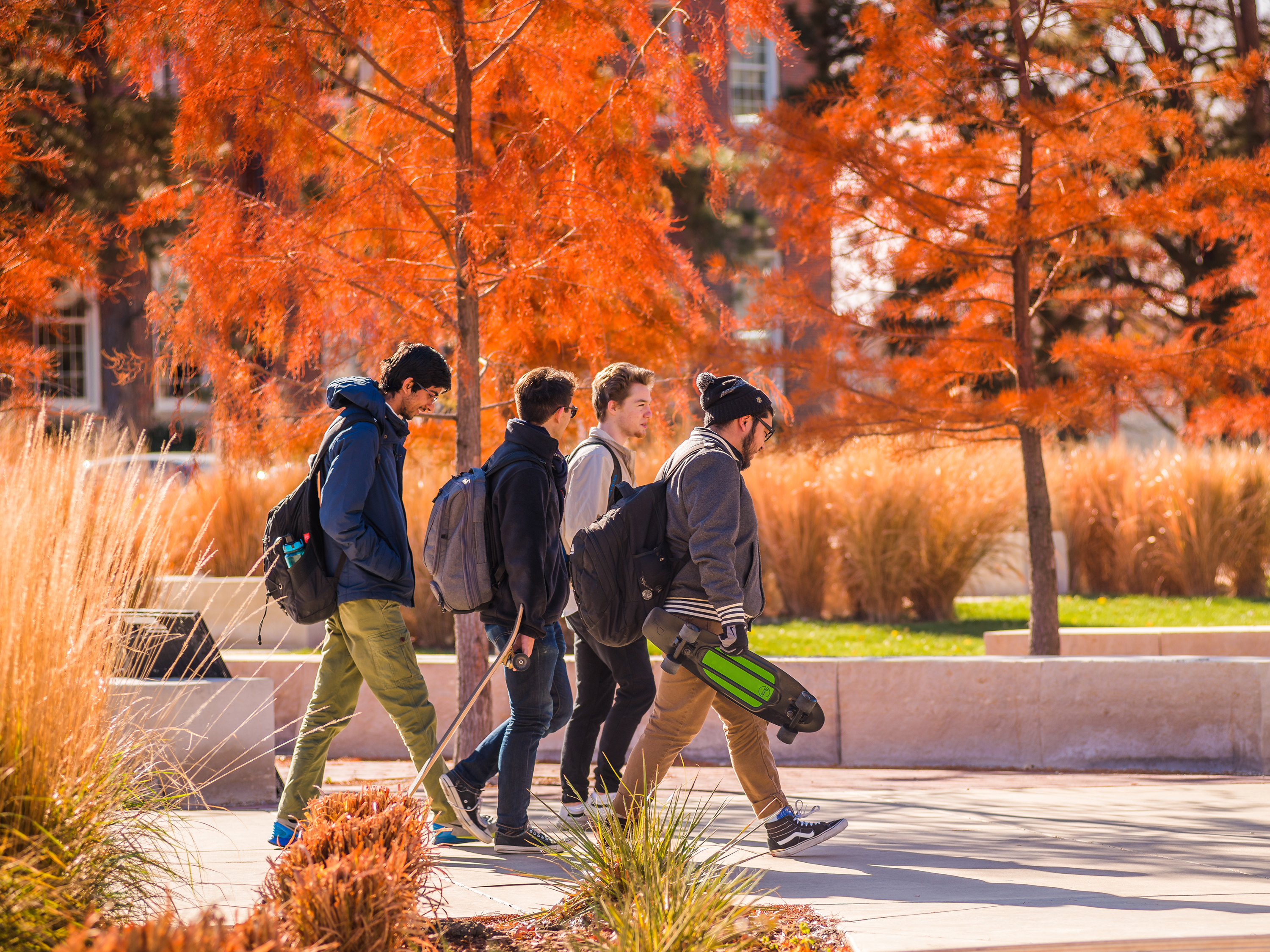 Students on campus in fall