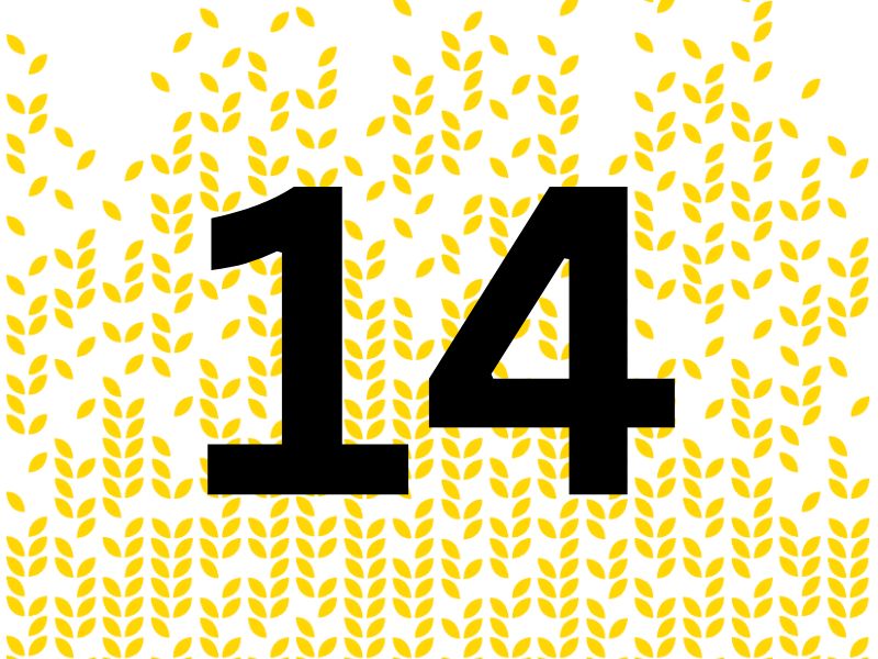 number 14 with yellow background