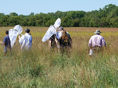 Students collect samples at the Ninnescah Biological Sciences field station