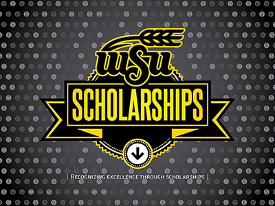 WSU Scholarships decorative brochure cover