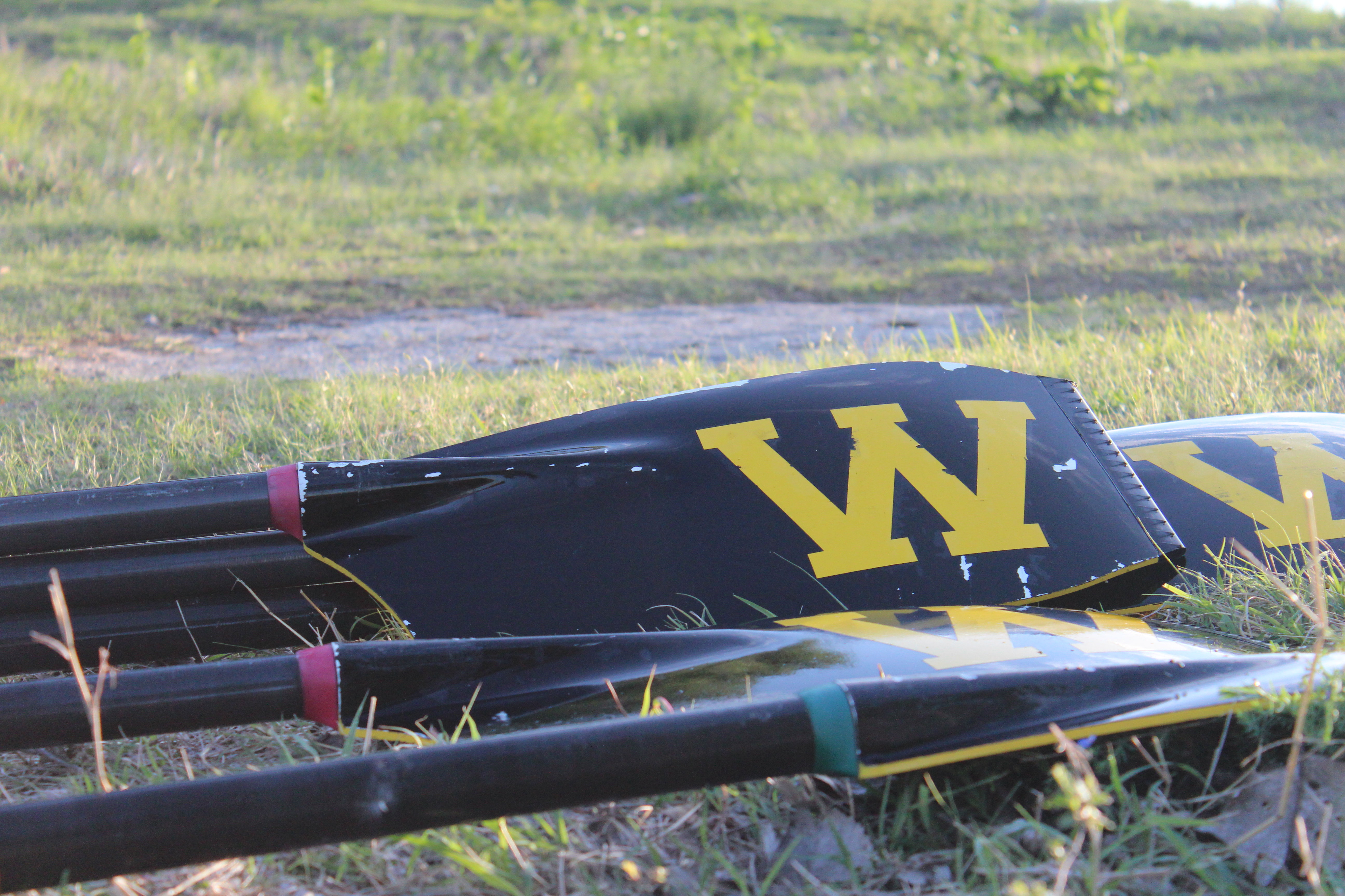 closeup of oars on grassy ground. The yellow W is prominent on the black blade.