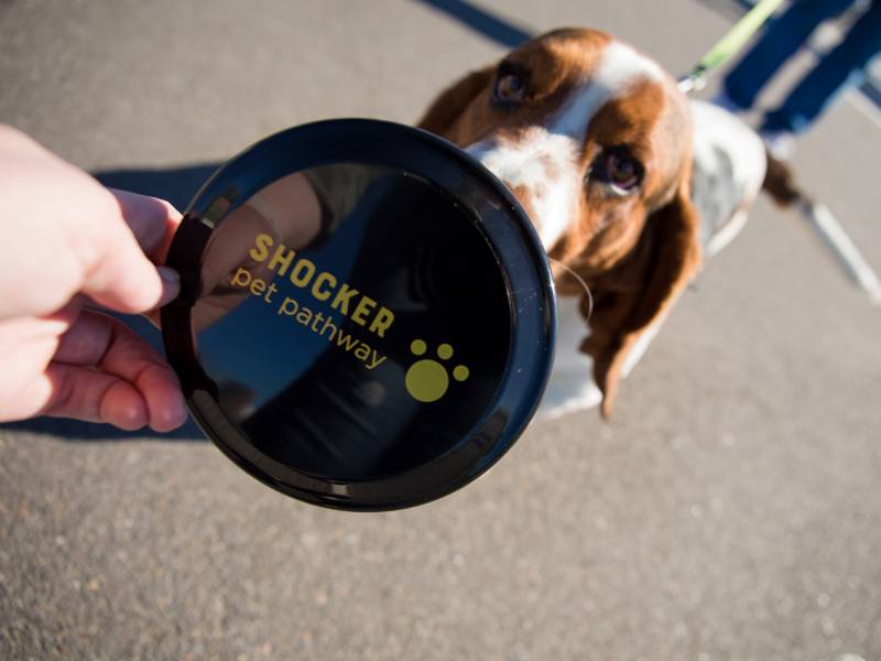 Dog with Shocker Pet Pathway branded frisbee