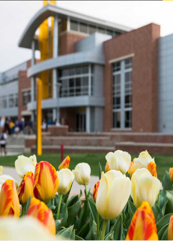 RSC with tulips in bloom in foreground