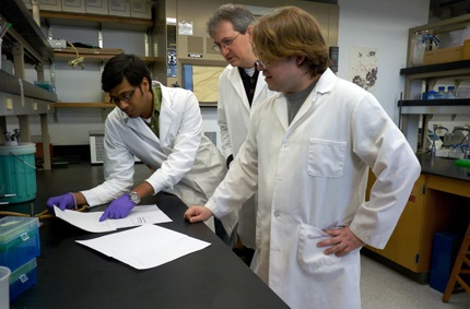 WSU graduate student Kiran K. Andra, left, associate professor Jim Bann and graduate student Alex Williams analyze data related to a project they hope will someday lead to an anthrax vaccine.