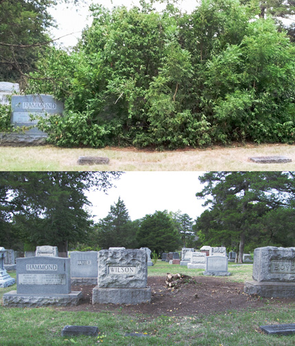 A crew of WSU volunteers, led by WuCrew coordinator Carmen Hytche, cleaned up the gravesite and surrounding area of Wichita State's first president, Nathan Morrison, at Maple Grove Cemetery. Above: Before and after shots of the site.