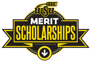 Merit scholarships