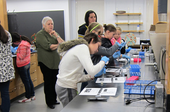 Second annual Expanding Your Horizons conference will promote STEM careers for up to 150 middle school girls.