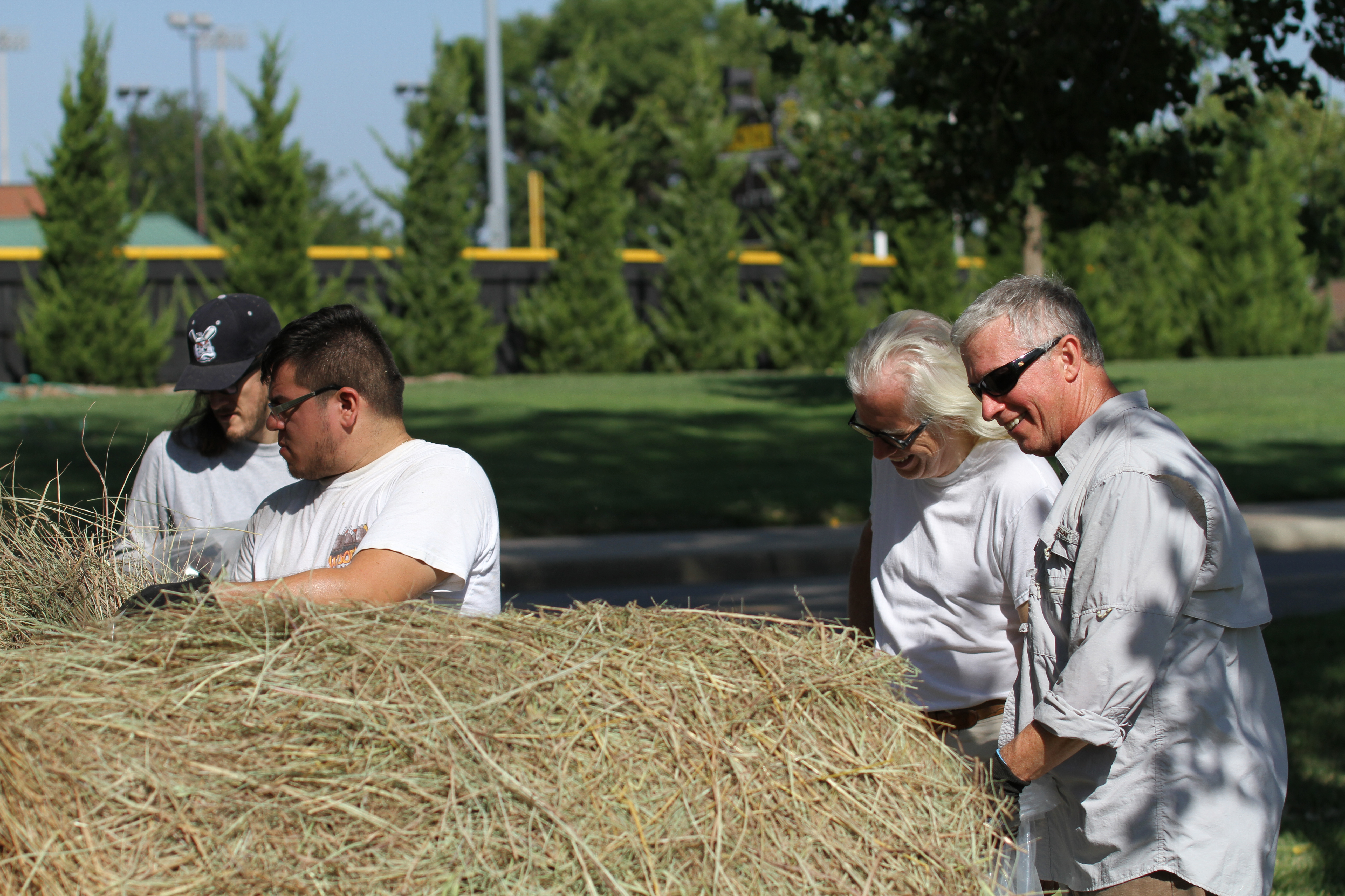 &quot;Makin' Hay,&quot; the Tom Otterness group sculpture, will be publicly unveiled on WSU's Innovation Campus Aug. 27. The sculpture will remain at WSU through the summer of 2017.