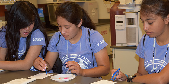 The National Girls in STEM Conference offers high school and college age women hands-on workshops and mentoring activities.