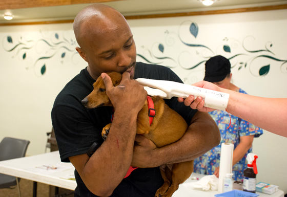 A volunteer with Spay Neuter Kansas City uses a microchip scanner to get data about a clinic animal. Wichita State engineers recently helped update and improve the tool.