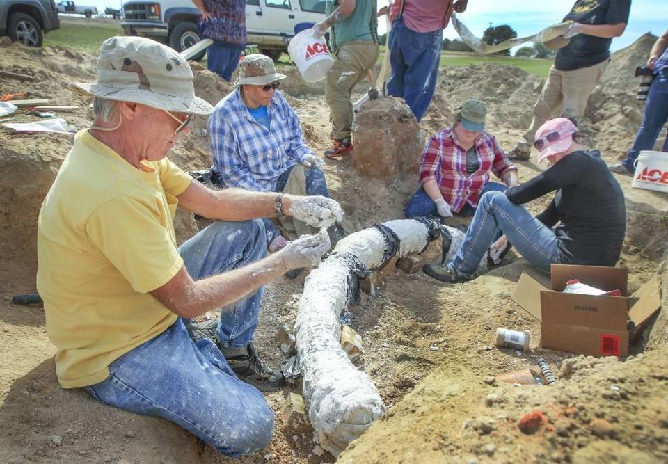 Steve Roberts, left, a graduate student in anthropology at Wichita State University, helps lead a team of WSU graduate students as they remove a mammoth tusk during an excavation Monday near Cunningham.