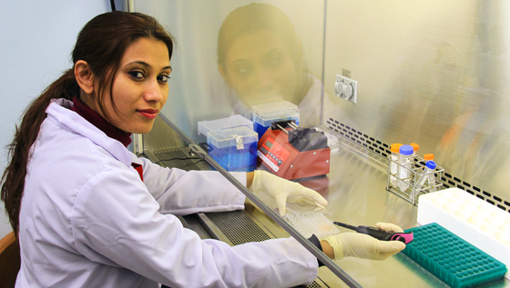 WSU graduate student Pranita Kaphle uses 3D cultures to research glioblastoma multiforme's migration through the brain.