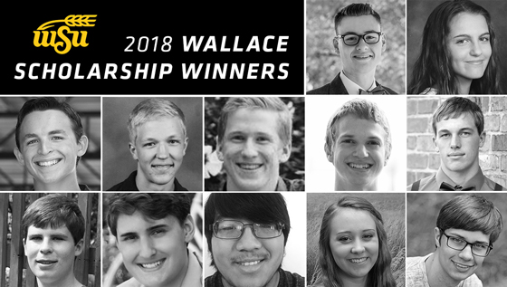 WSU College of Engineering awards $28,000 each to twelve Wallace Scholarship recipients