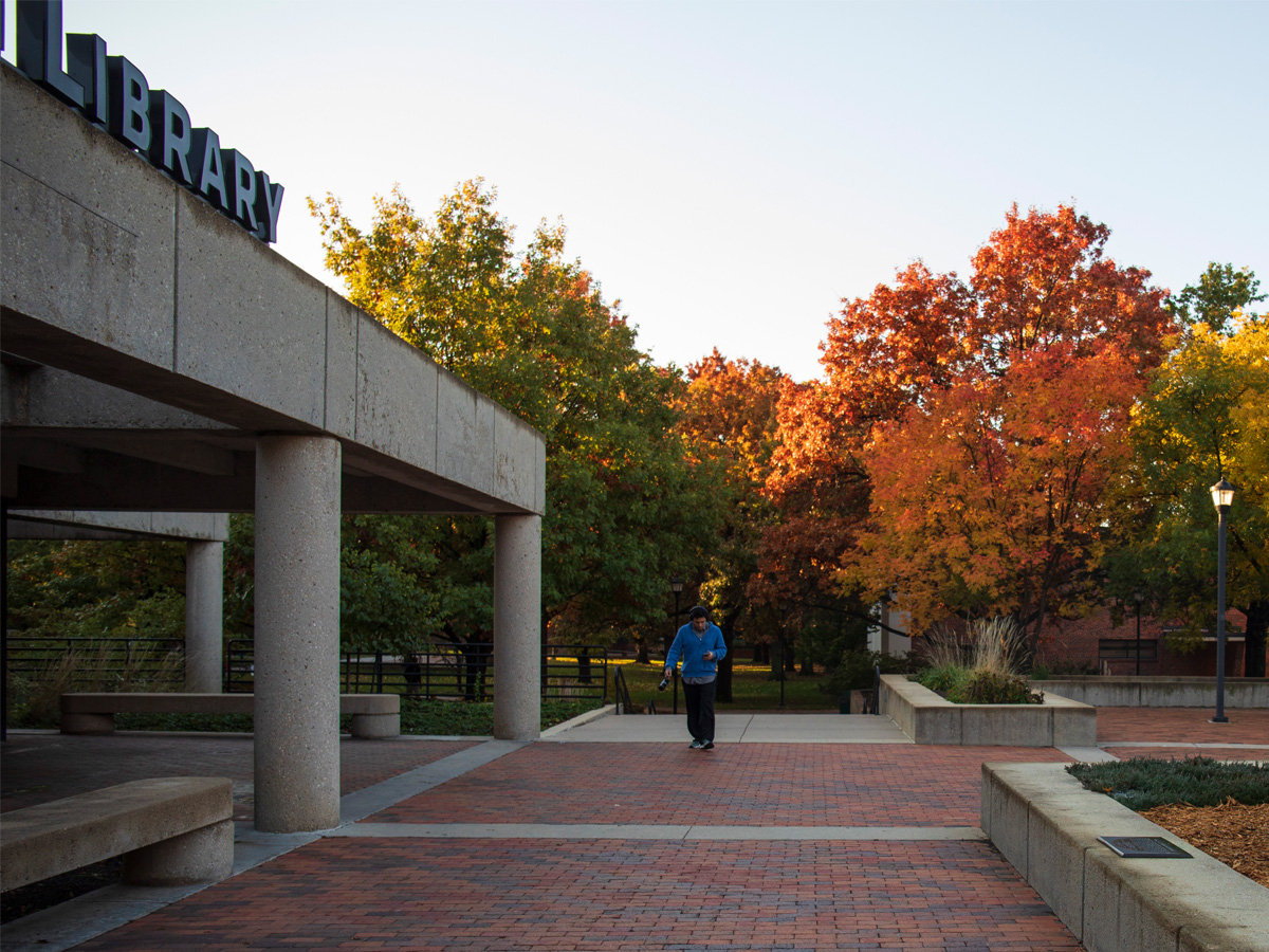 Fall trees outside of the Ablah Library in October 2018.