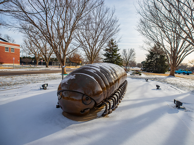 Snow-covered sculpture on WSU campus