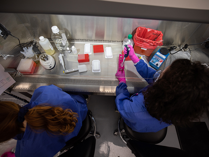 Students work in the Molecular Diagnostics Lab