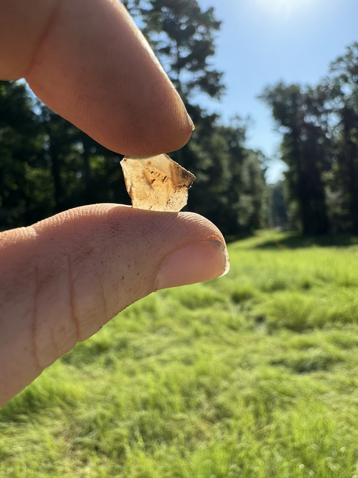 An archeology artifact