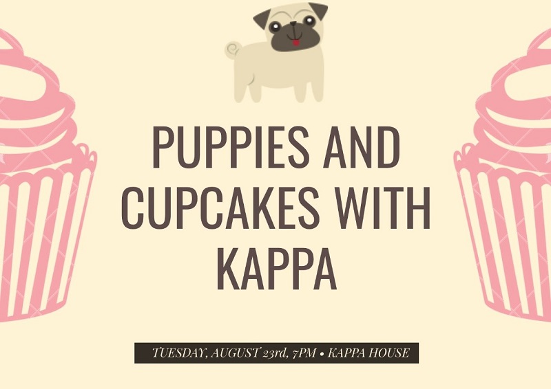 Cupcakes with Kappa Aug. 2018