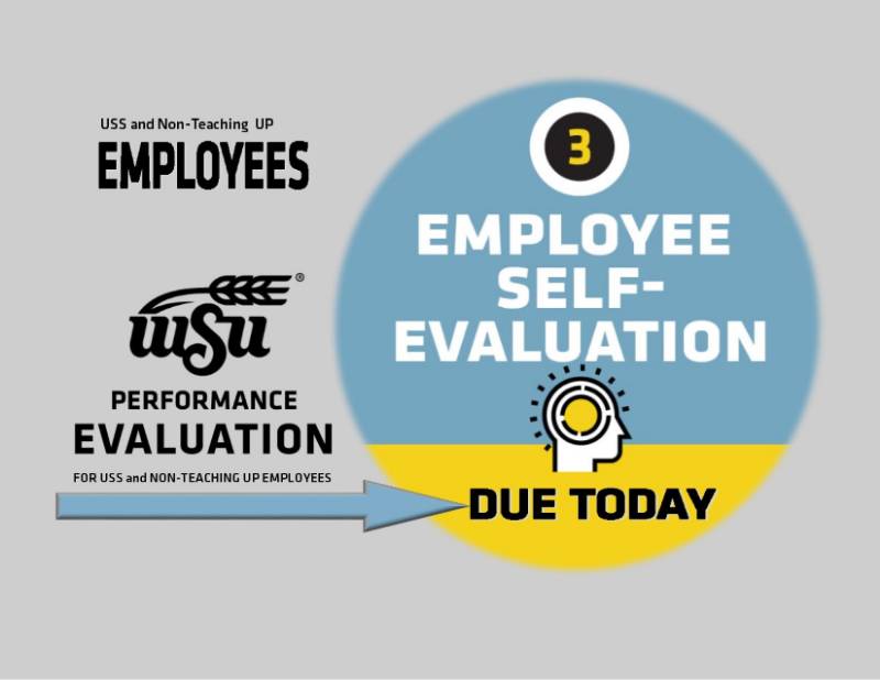Employee Self-Evaluation Jan. 31, 2019