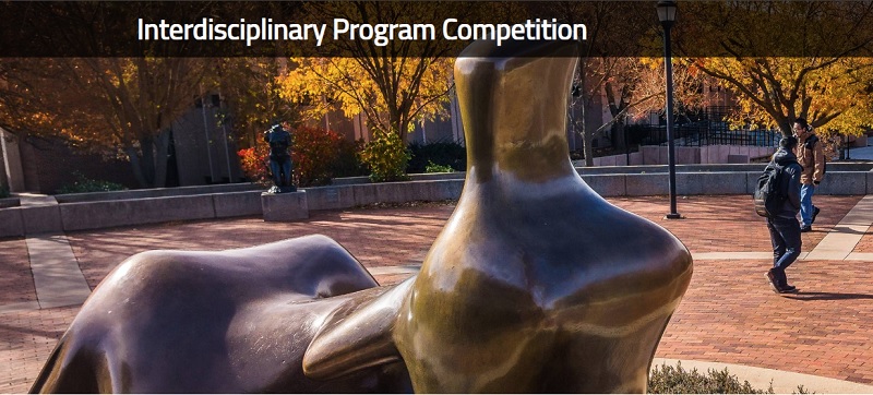 Interdisciplinary Award Competition