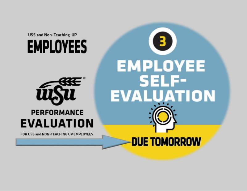 Employee Self-Evaluation Jan. 30, 2019