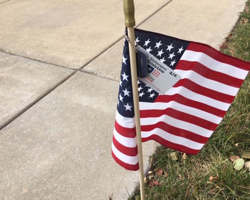 Student vets / flags Nov. 2019