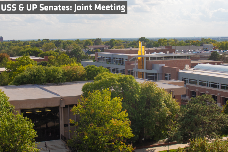 Joint Senate meeting March 10, 2020