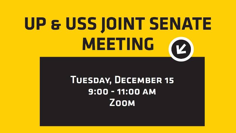 Joint Senate meeting 121520
