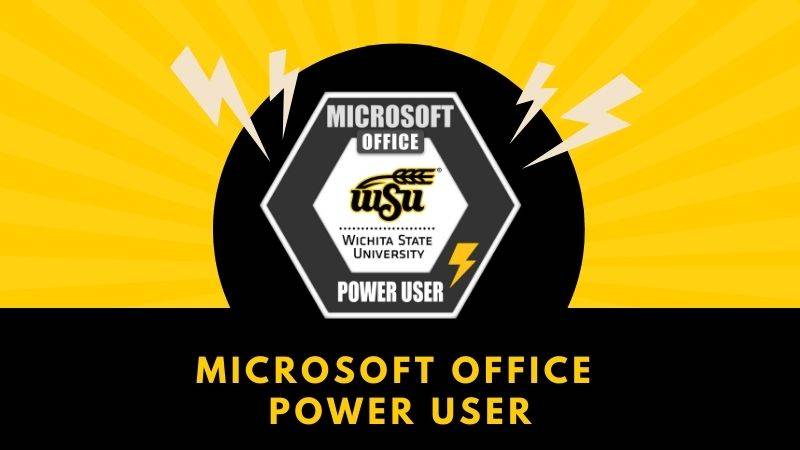 Microsoft Office Power User
