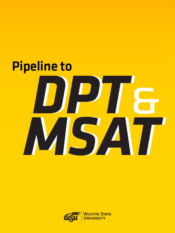 Pipeline to DPT & MSAT