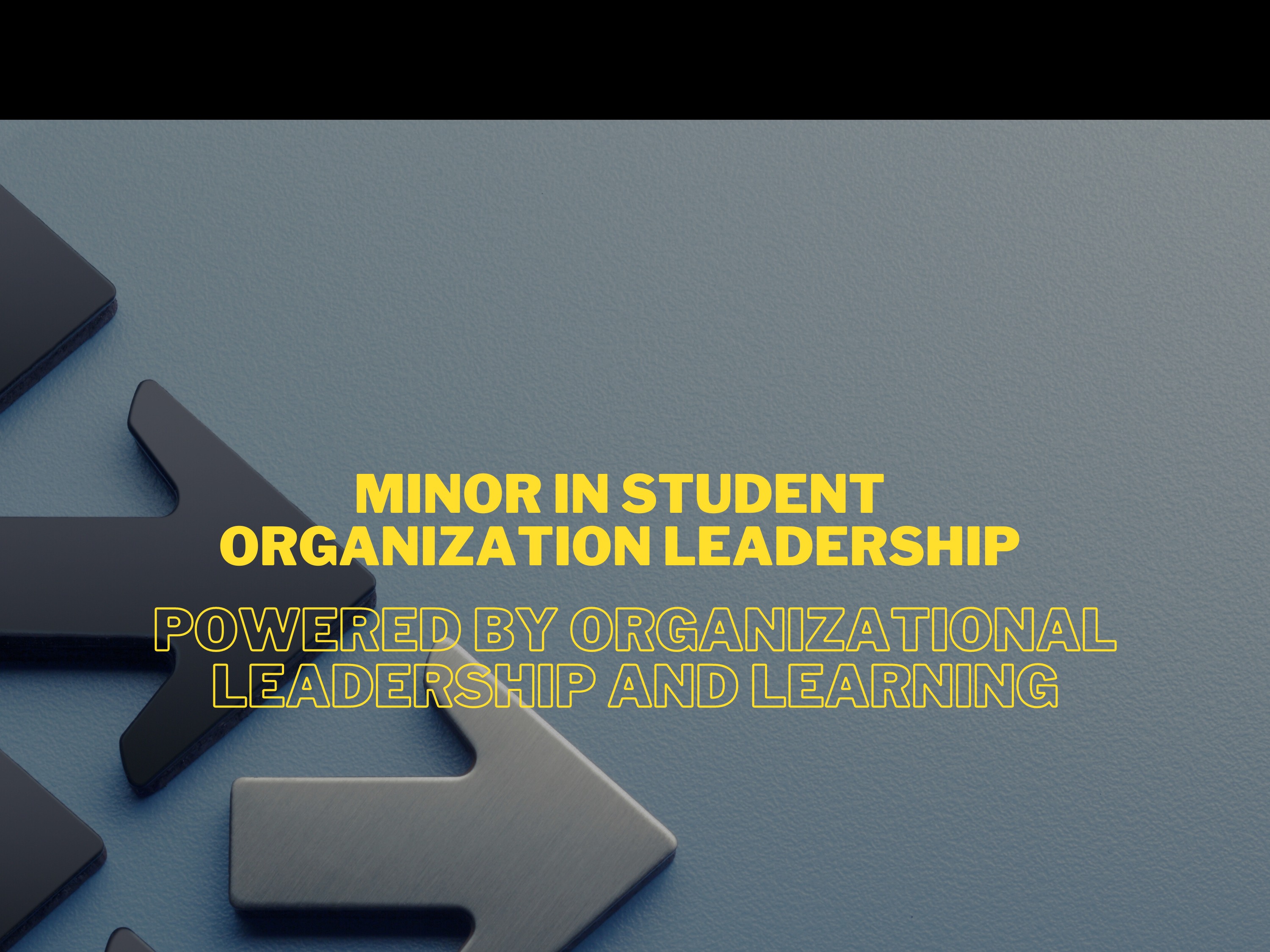 Text says Minor in Student Organization Leadership
