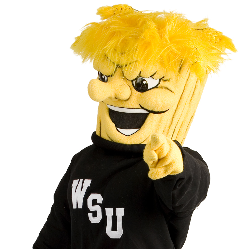 A Photo of WuShock pointing at you. 