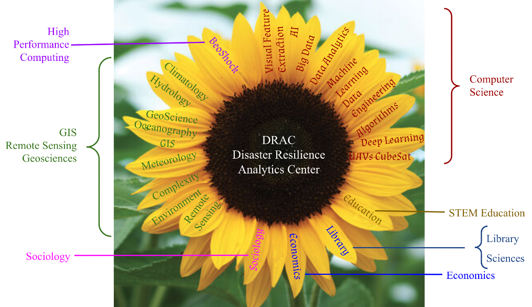 Sunflower with petals indicating all the units and disciplines needed to work together for disaster planning and resilience