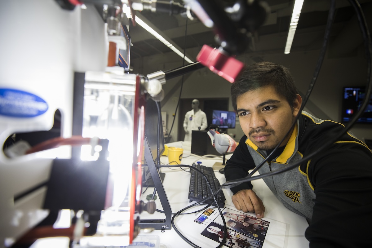 Biomedical Engineering student