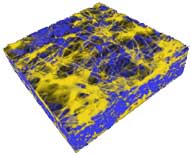 CGI image of X-Ray Microtomography