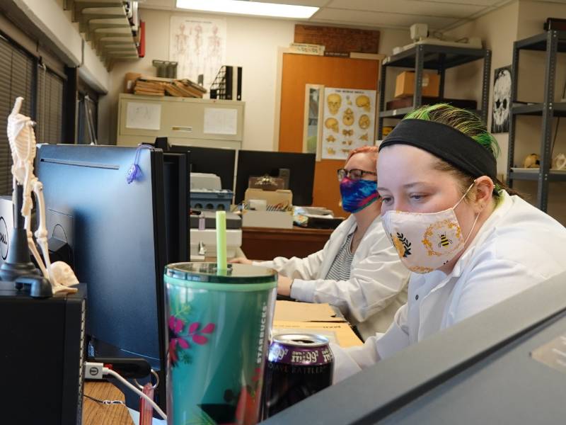 Two lab students working on transferring and curating radiographic data and material