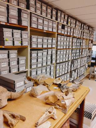 WCA WichitaCityArchaeologist