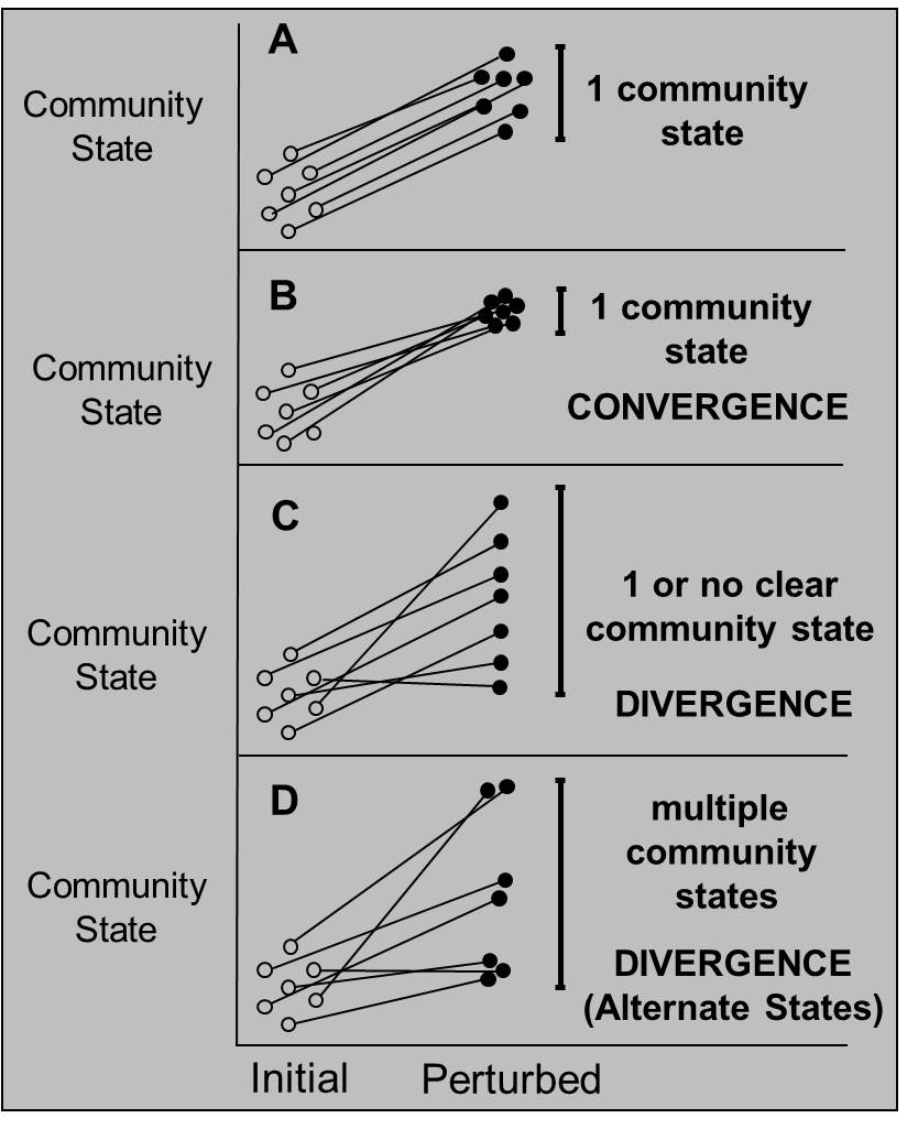 graph of community states: convergence and divergence