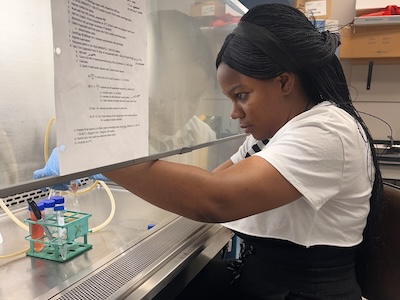 Student working biosafety cabinet