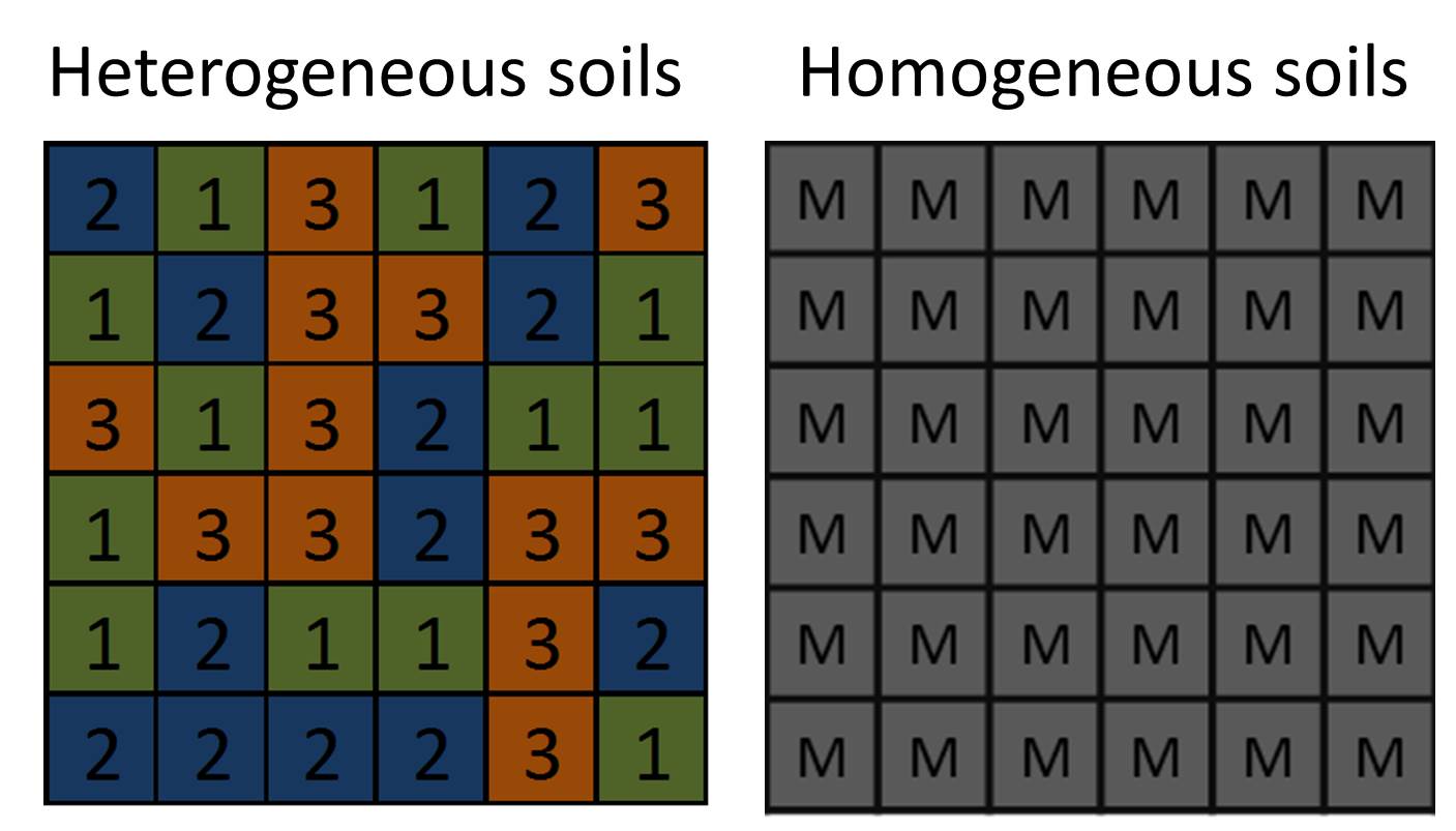 heterogeneous (left) and homogeneous (right) soil patch structure