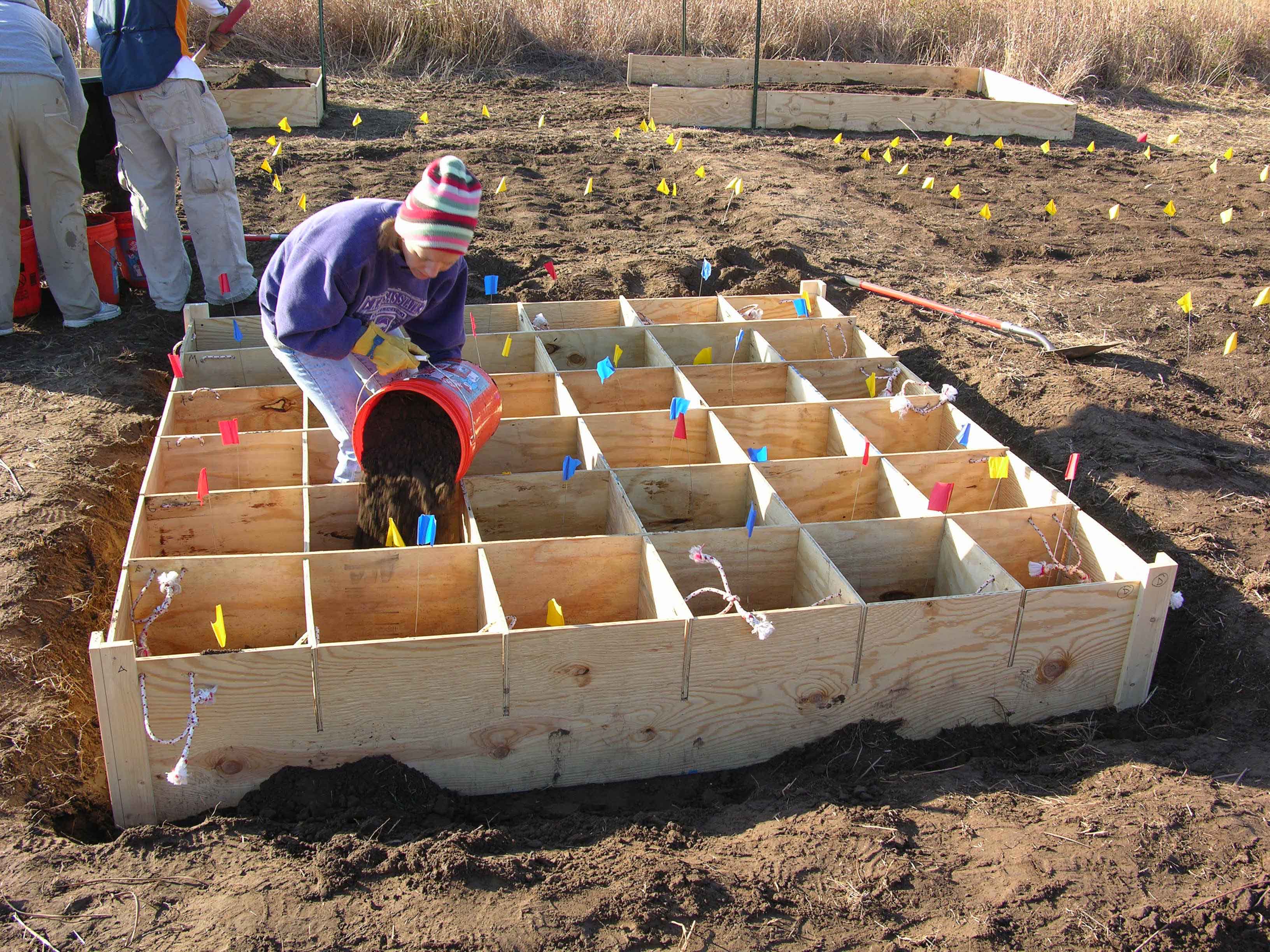 researchers filling plot quadrants with soil