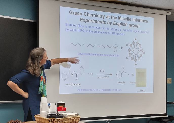 Prof. Katie Mitchell-Koch delivering a presentation