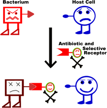 Diagram illustrating how Selective Receptor Antibiotics function. 