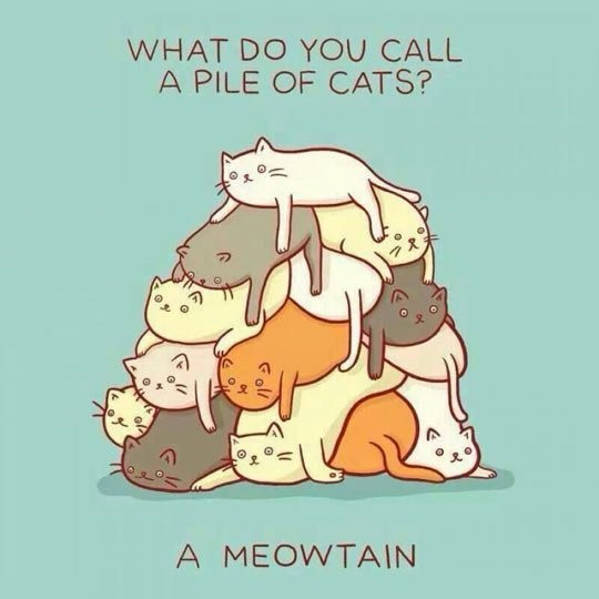 illustrated pile of cats 