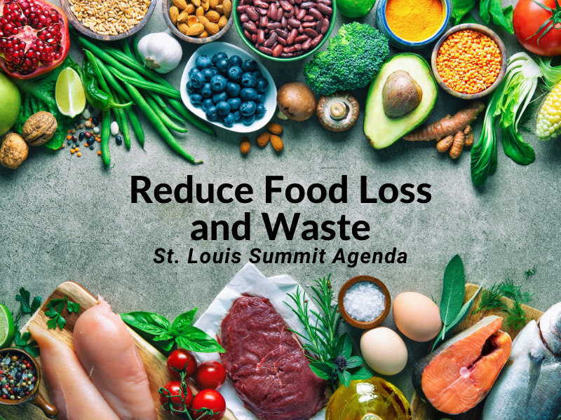 food surrounding text that says food loss and waste st. louis summit agenda