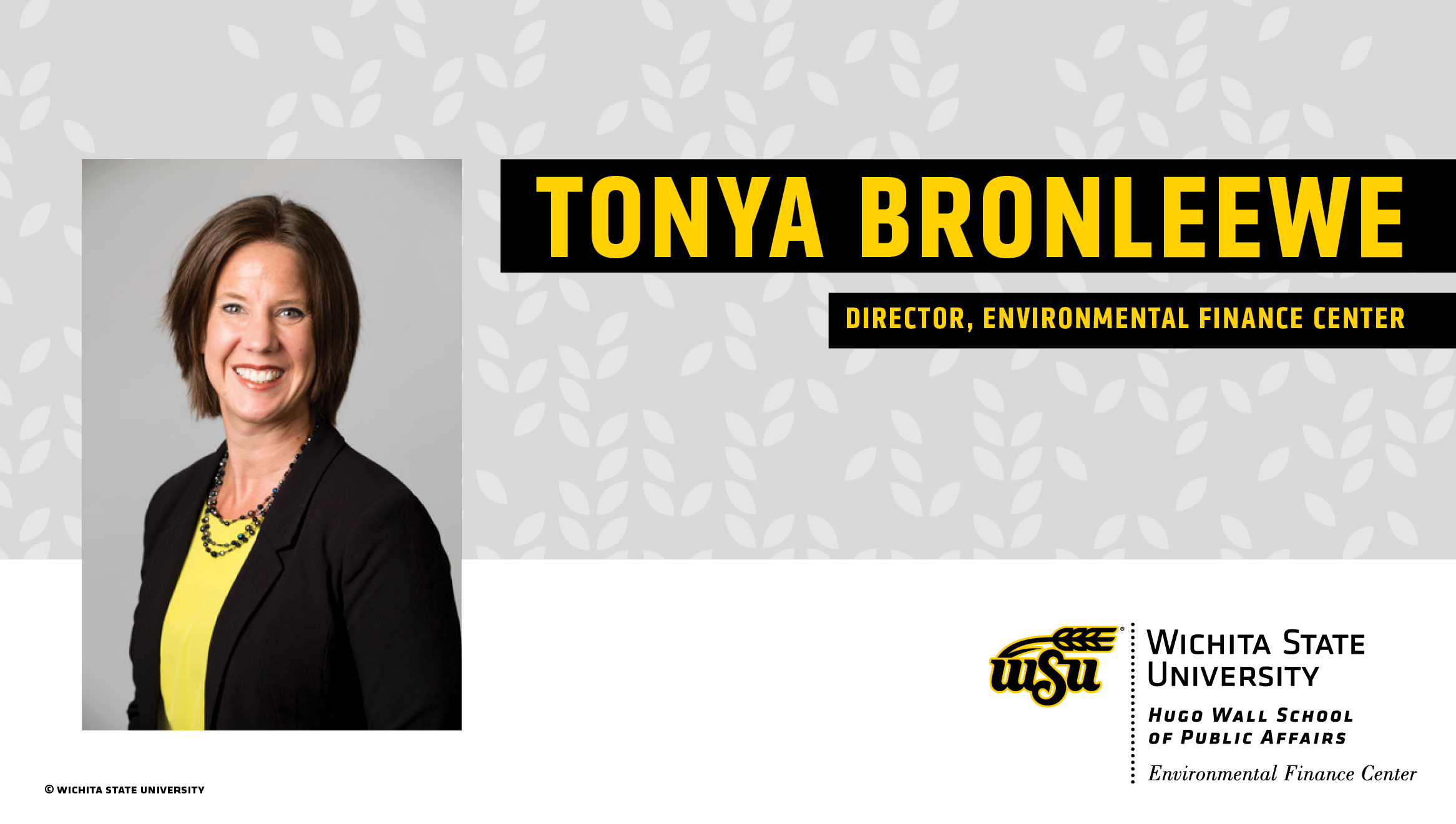 Tonya Bronleewe, Director, Environmental Finance Center