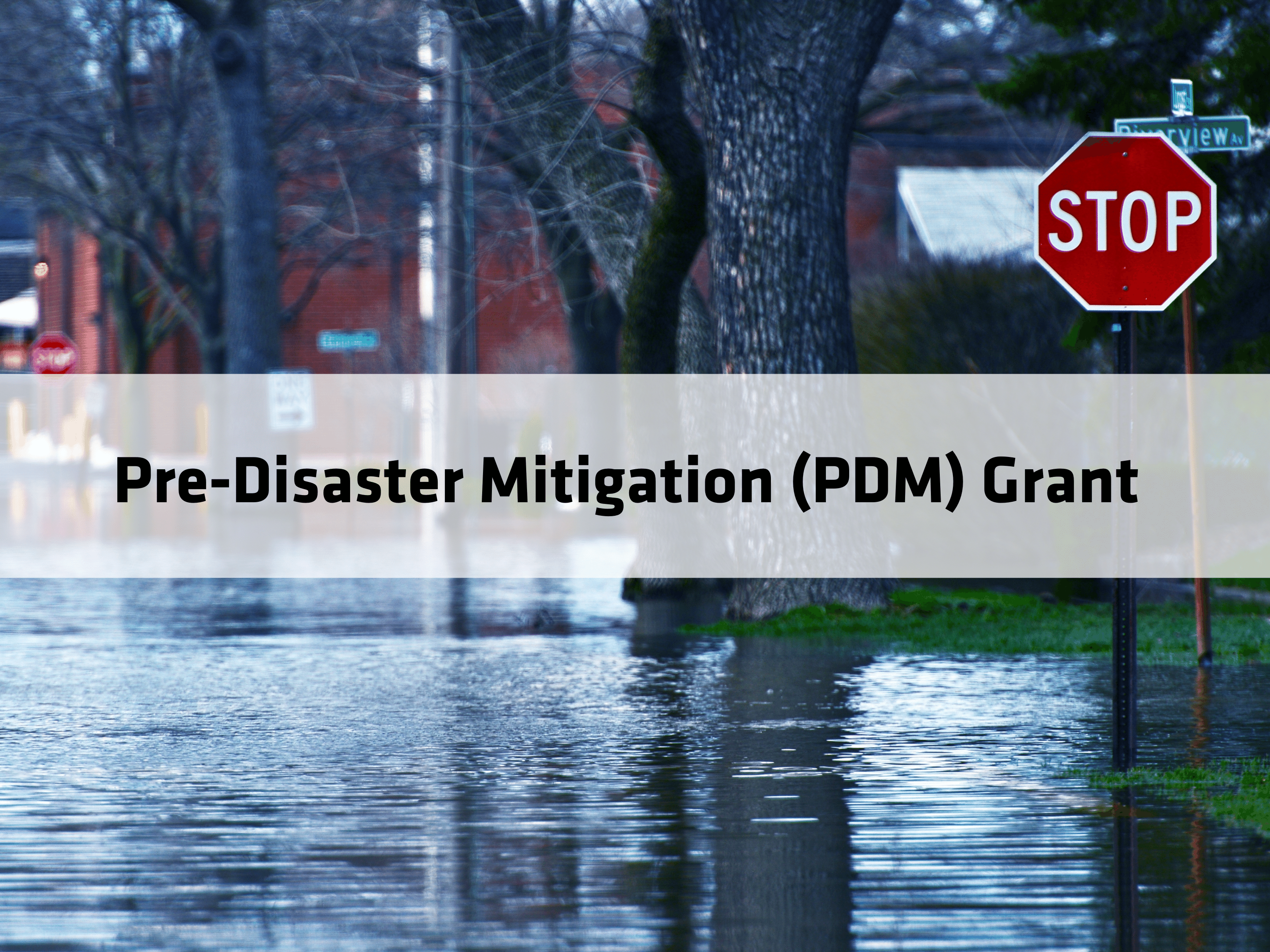 Pre-Disaster Mitigation Grant (PDM)