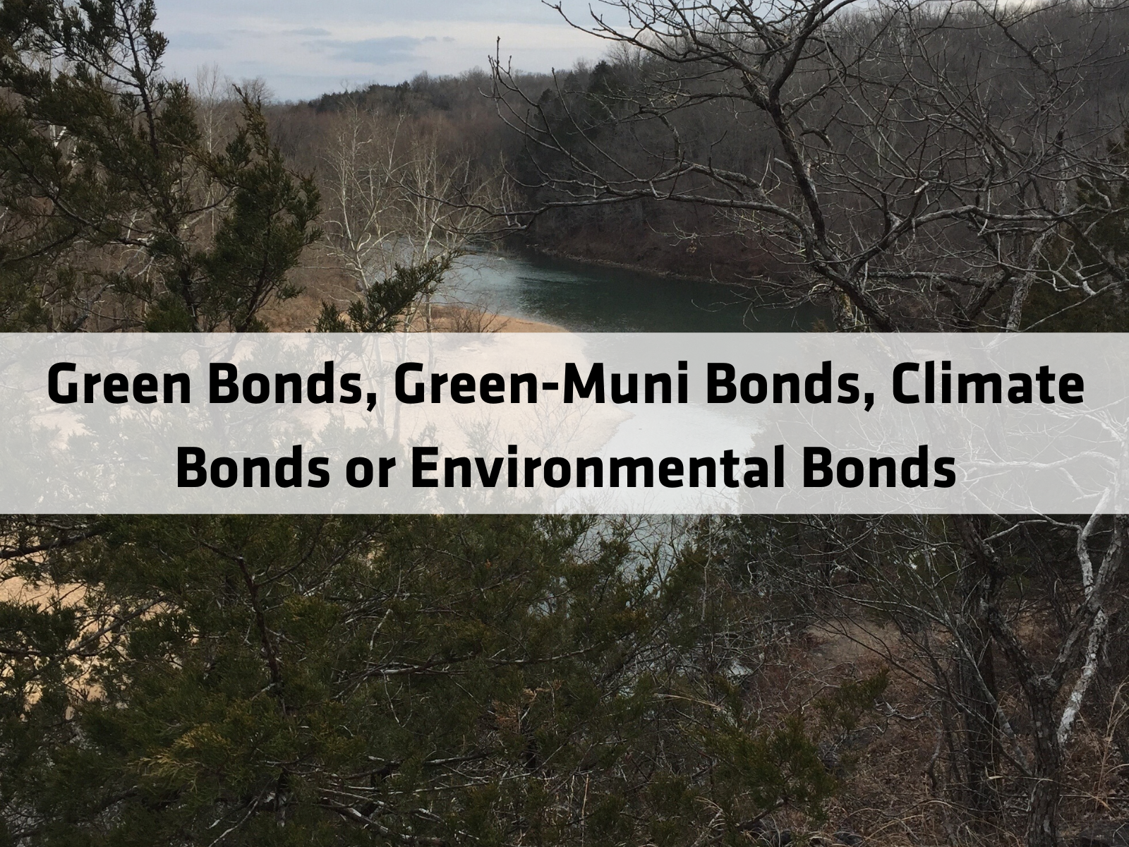 Green Bonds, Green-Muni Bonds, Climate Bonds or Environmental Bonds
