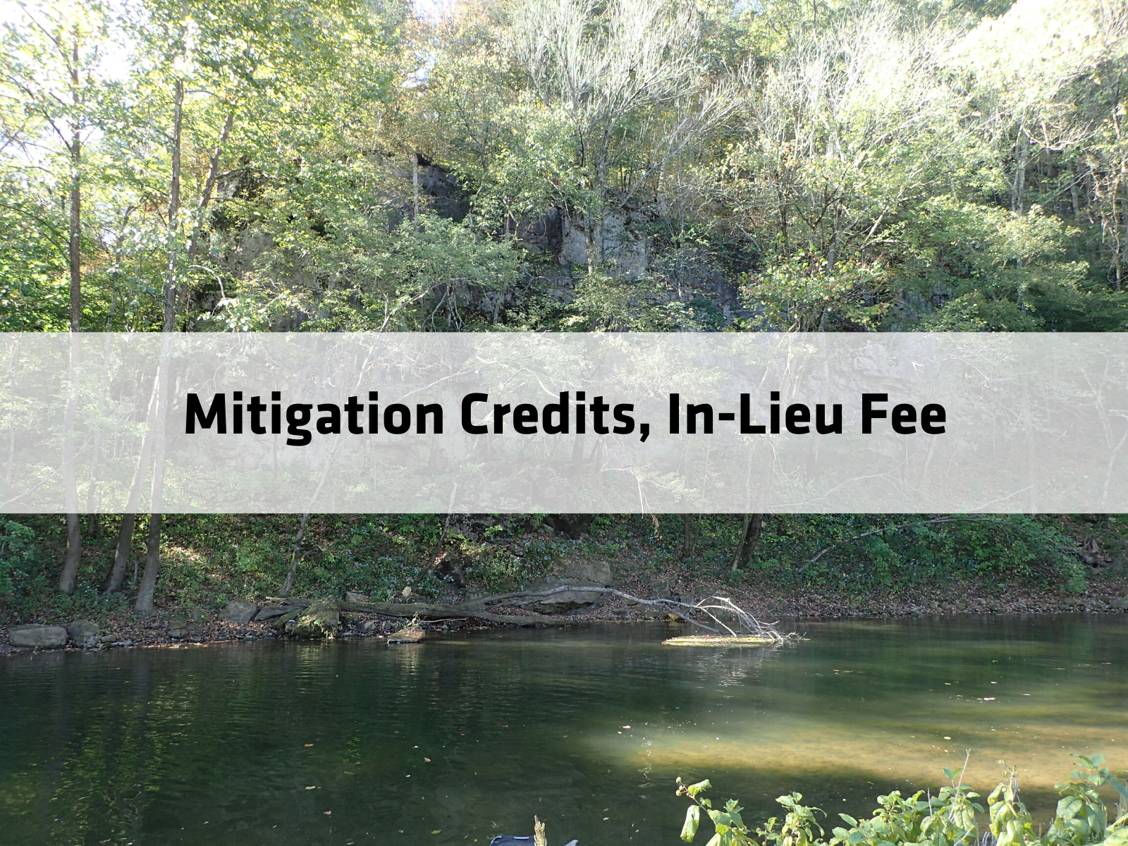 In-Lieu Fee (ILF) Compensatory Mitigation Programs
