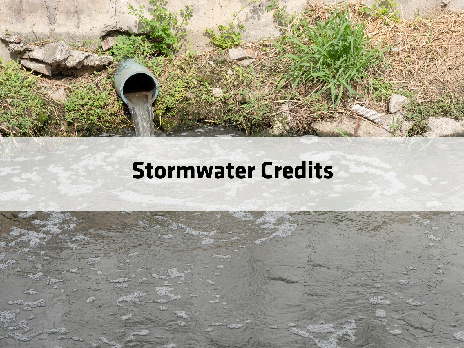 Stormwater Credits